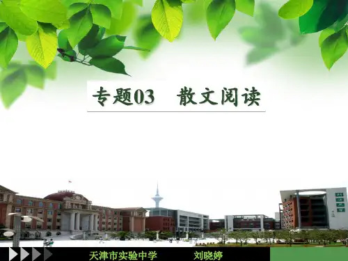 专题03 散文阅读-备战中考语文重点热点复习指导