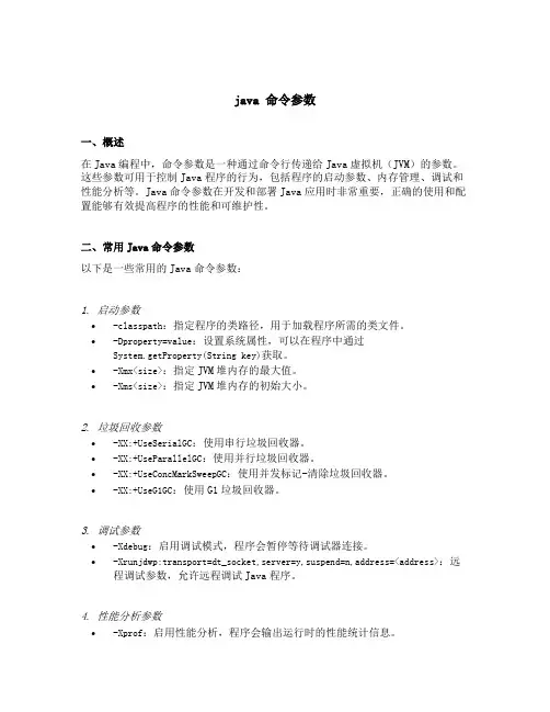 java 命令参数