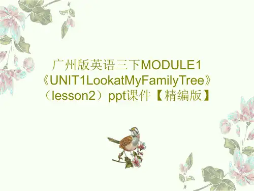 广州版英语三下MODULE1《UNIT1LookatMyFamilyTree》(lesson2)pp