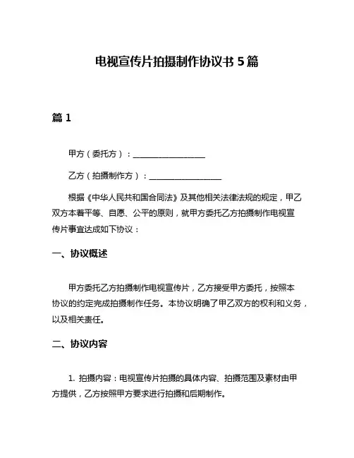 电视宣传片拍摄制作协议书5篇