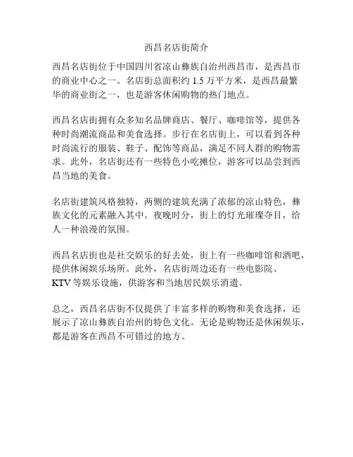 西昌名店街简介