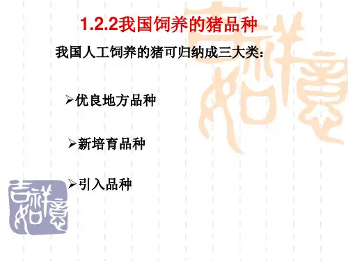 我国饲养的猪品种课件(共14张PPT)《猪生产》