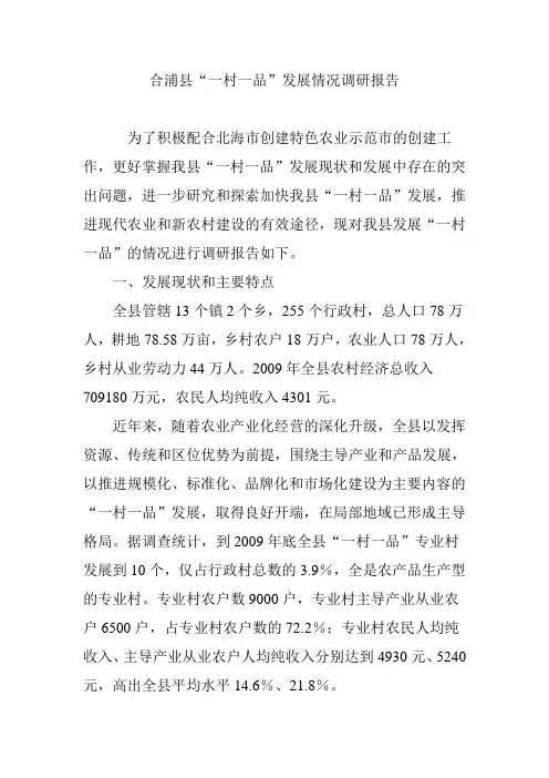 合浦县“一村一品”发展情况调研报告