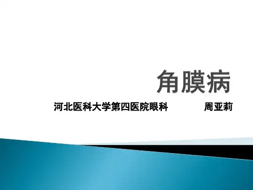 角膜病