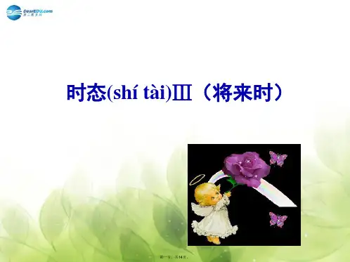 高中英语 专题五 时态III(将来时)课件 新人教版必修2