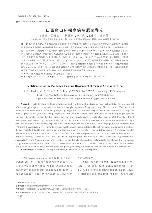 山西省山药褐腐病病原菌鉴定