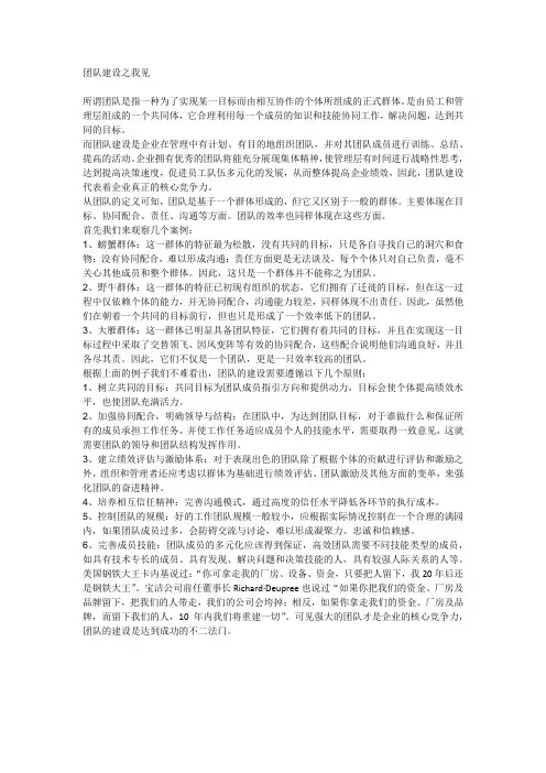 团队建设之我见