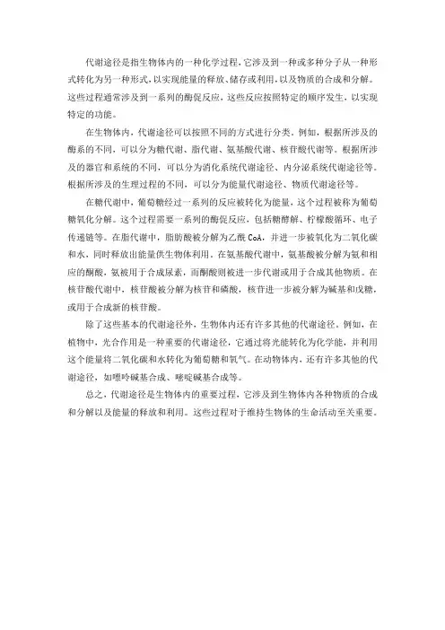 14.代谢途径名词解释