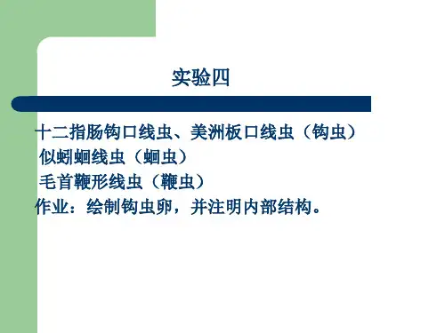 第四次蛔虫鞭虫钩虫ppt课件