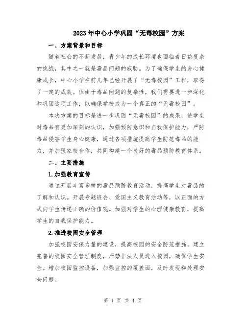 2023年中心小学巩固“无毒校园”方案