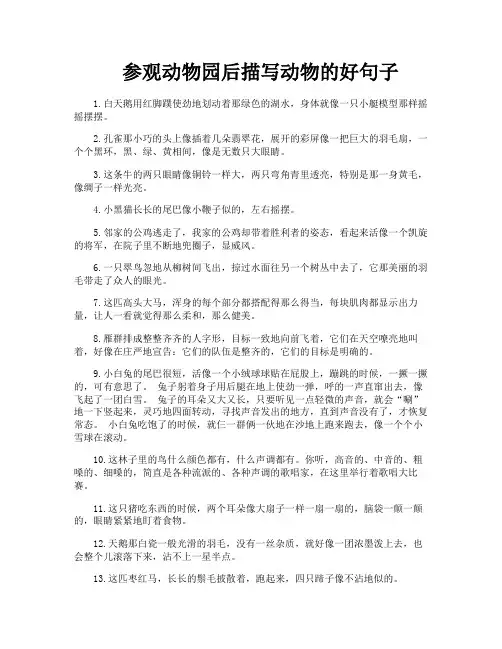 参观动物园后描写动物的好句子