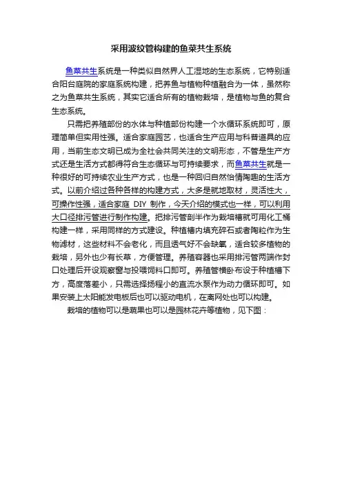采用波纹管构建的鱼菜共生系统