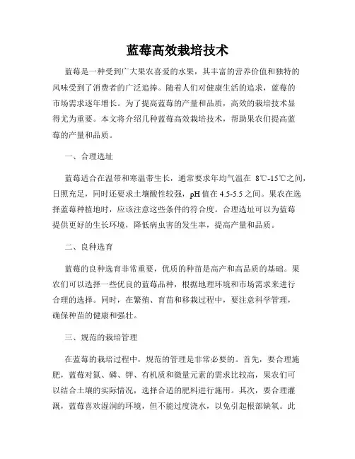 蓝莓高效栽培技术