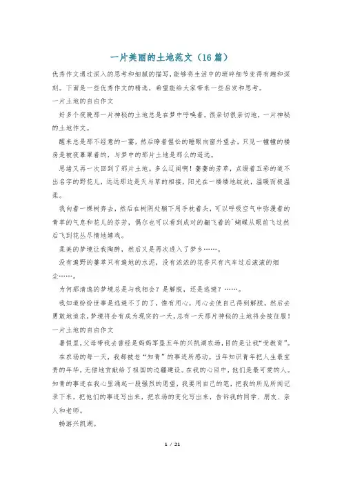 一片美丽的土地范文(16篇)