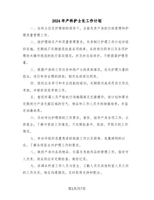 2024年产科护士长工作计划（四篇）