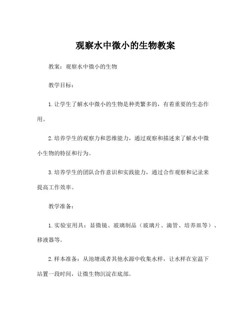 观察水中微小的生物教案