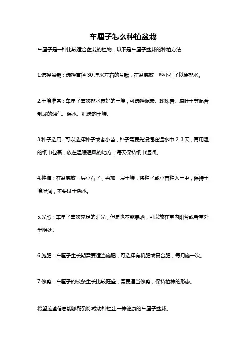 车厘子怎么种植盆栽