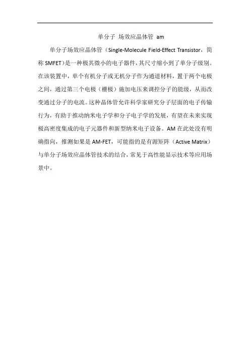 单分子 场效应晶体管 am