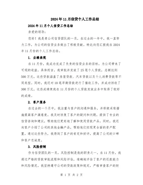 2024年11月信贷个人工作总结