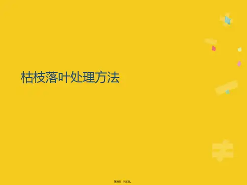 枯枝落叶处理方法(共6张PPT)