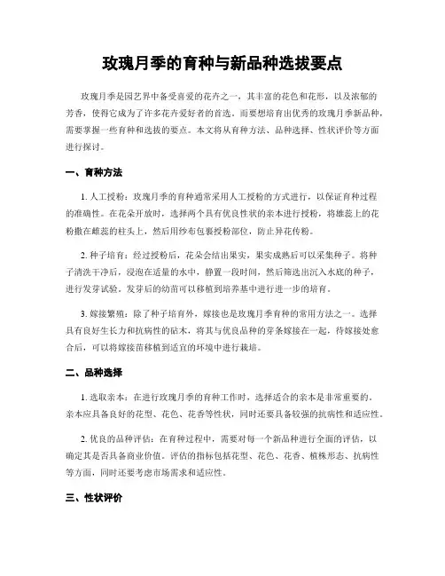 玫瑰月季的育种与新品种选拔要点