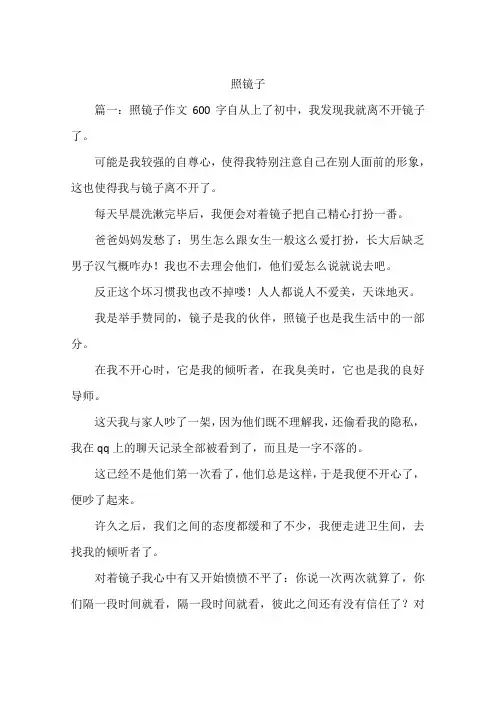照镜子--作文