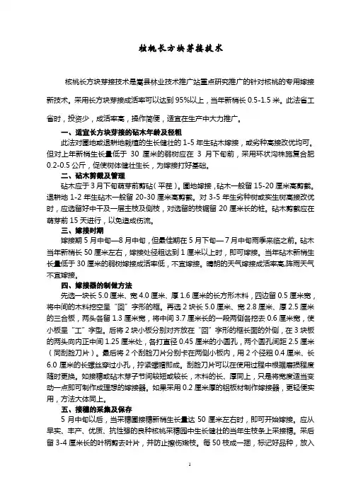 核桃长方块芽接技术