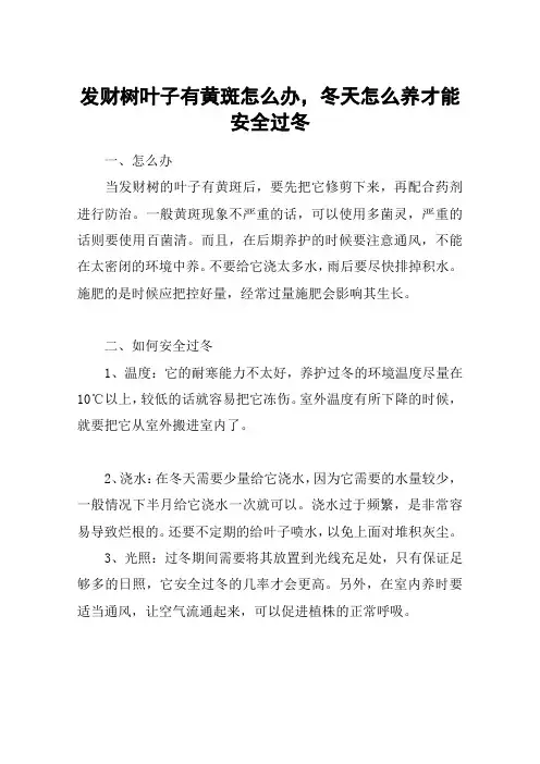发财树叶子有黄斑怎么办,冬天怎么养才能安全过冬