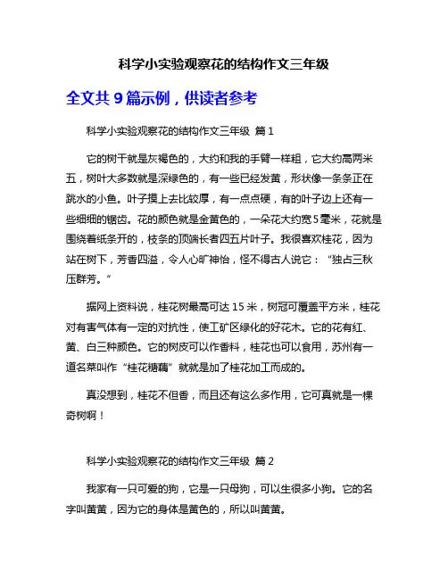 科学小实验观察花的结构作文三年级