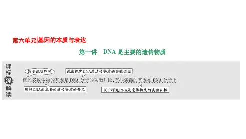 6.1.1肺炎双球菌的转化实验