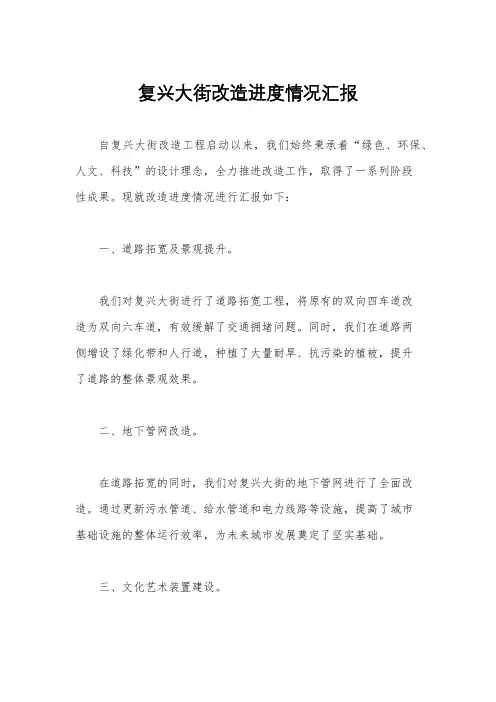 复兴大街改造进度情况汇报