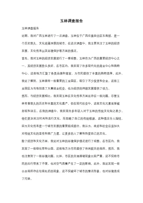 玉林调查报告
