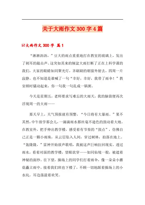 关于大雨作文300字4篇