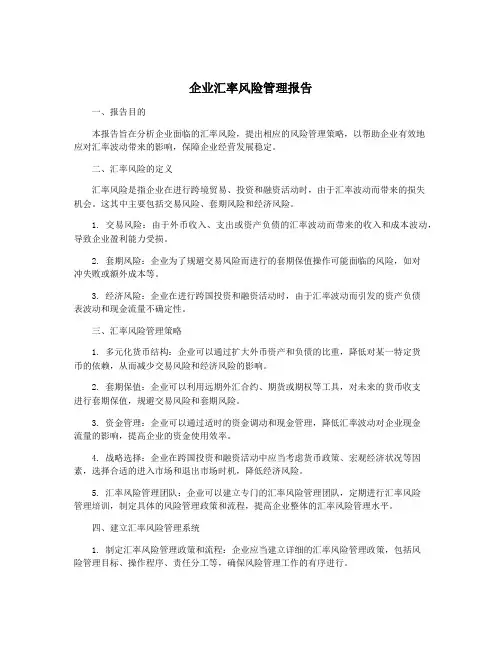 企业汇率风险管理报告