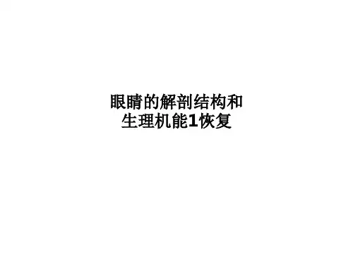 眼睛的解剖结构和生理机能1恢复