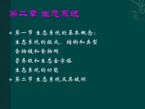 第二章 生态系统