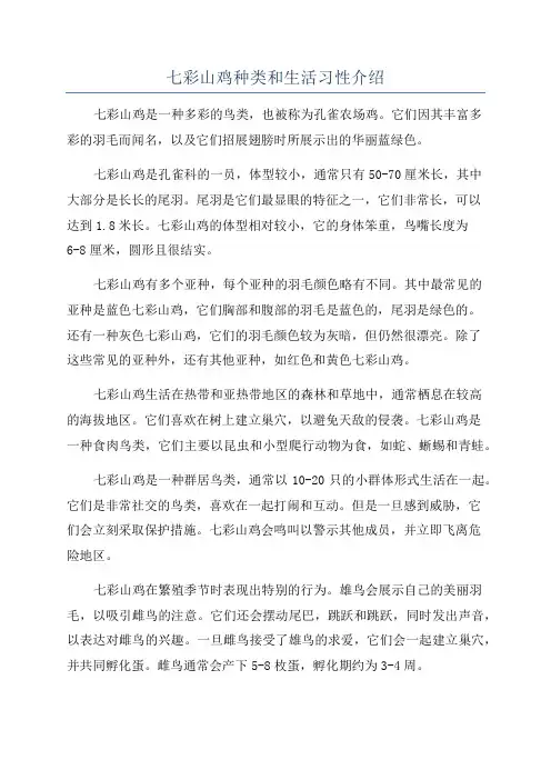 七彩山鸡种类和生活习性介绍