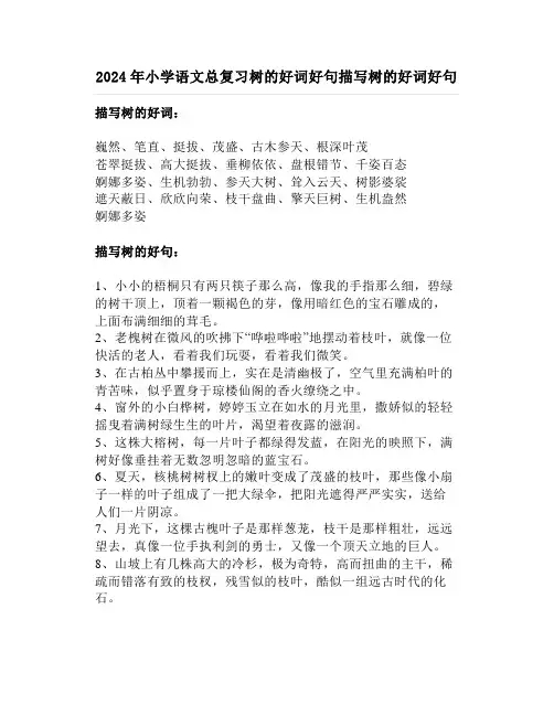 2024年小学语文总复习树的好词好句描写树的好词好句