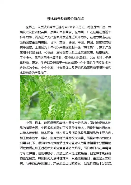 辣木背景及营养价值介绍