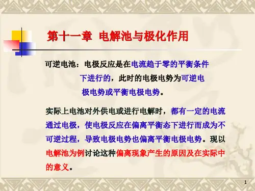11章电解池与极化作用全解