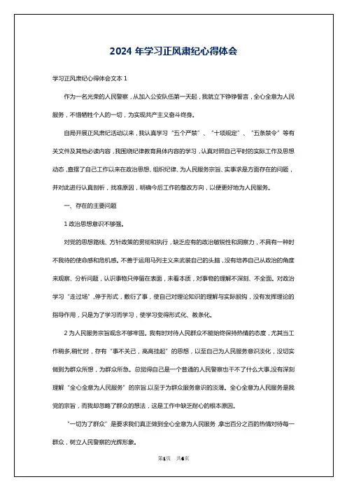2024年学习正风肃纪心得体会