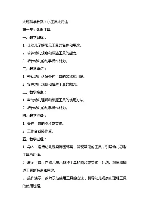 大班科学教案：小工具大用途