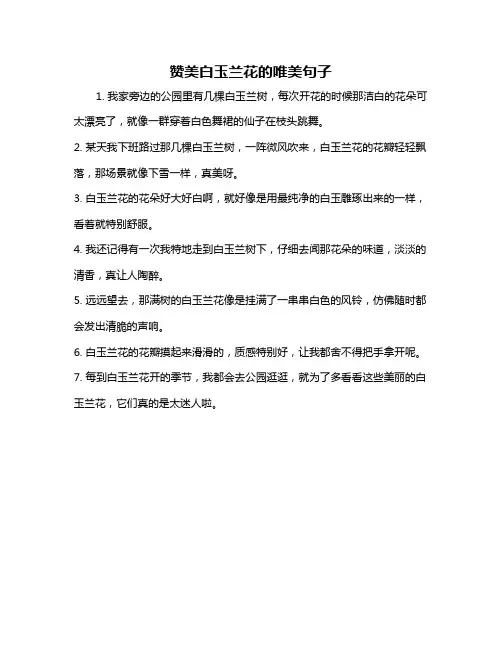 赞美白玉兰花的唯美句子