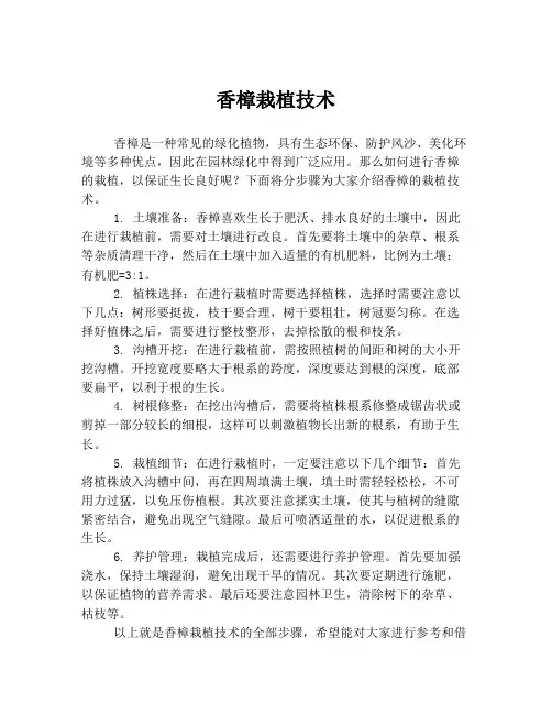 香樟栽植技术