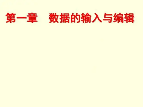 excel数据的输入与编辑