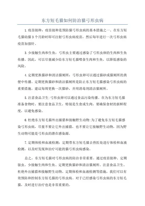 东方短毛猫如何防治猫弓形虫病