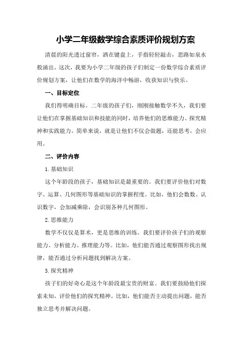 小学二年级数学综合素质评价规划方案