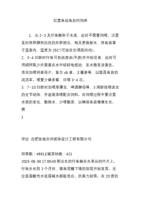 红箭鱼幼鱼如何饲养