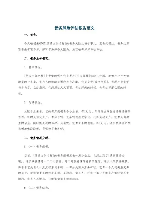 债务风险评估报告范文
