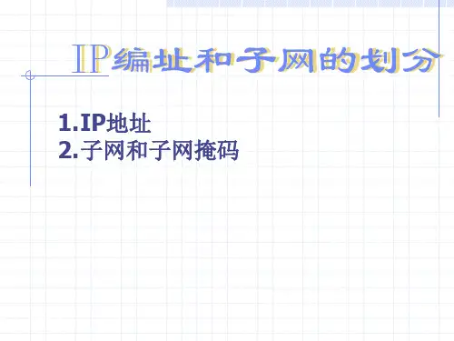 IP编址子网划分和子网掩码